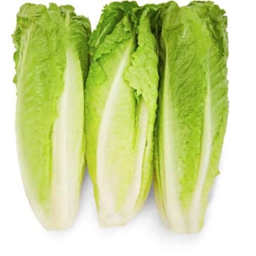 Yellow special green lettuce